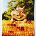 Greeting Card: Chipmunk eating Corn